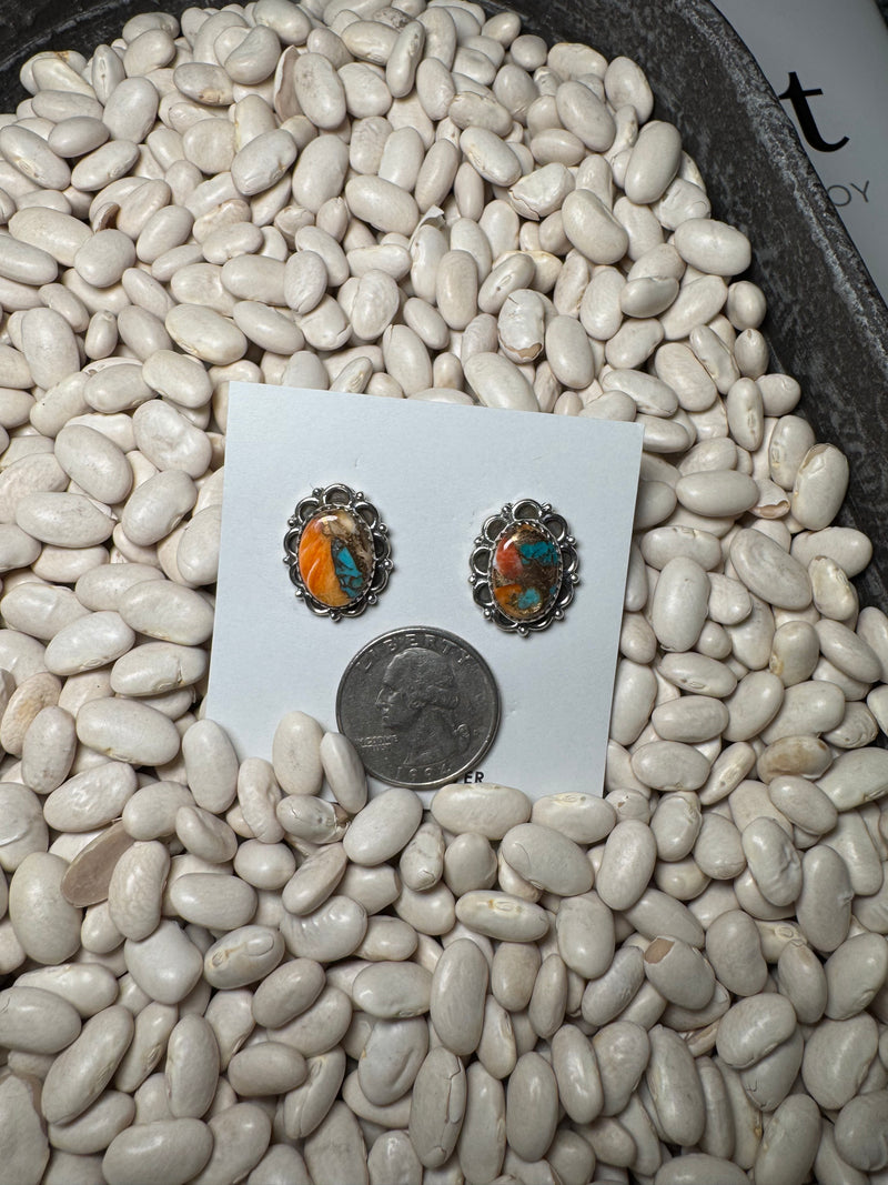 Spiny Oyster Studs