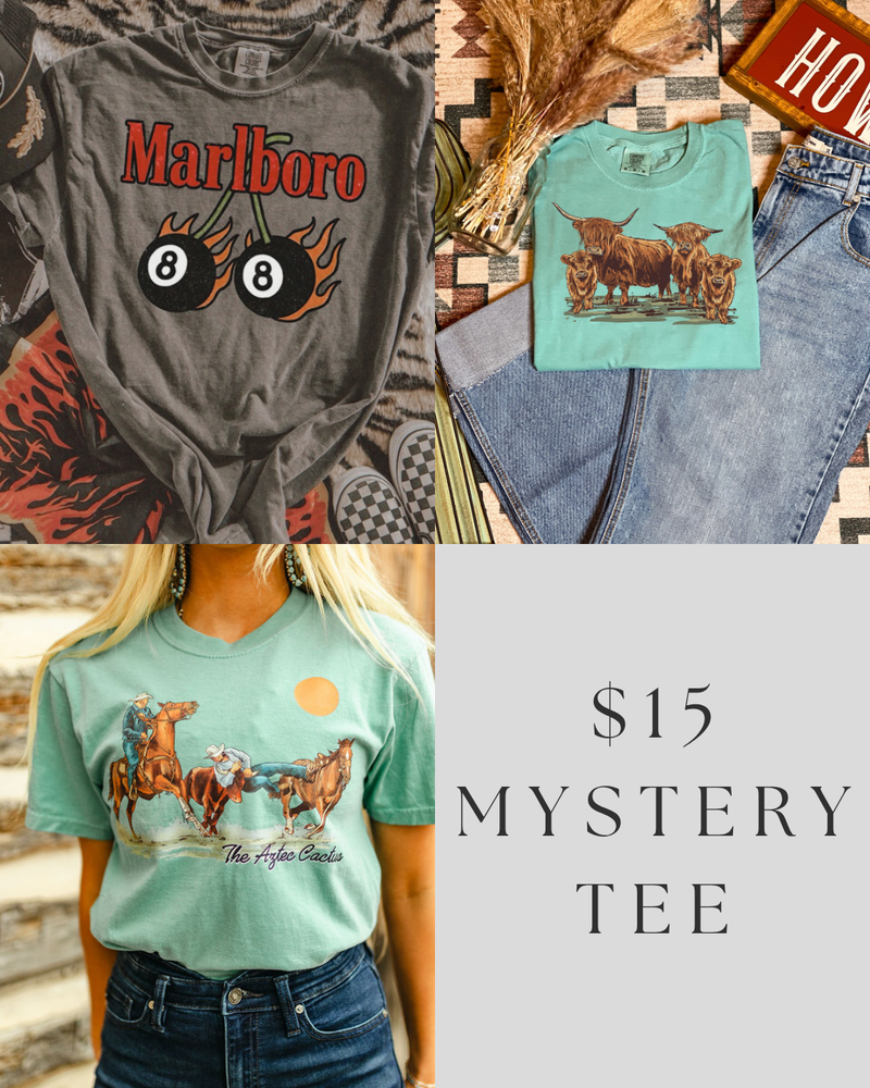 $15 Mystery Tee