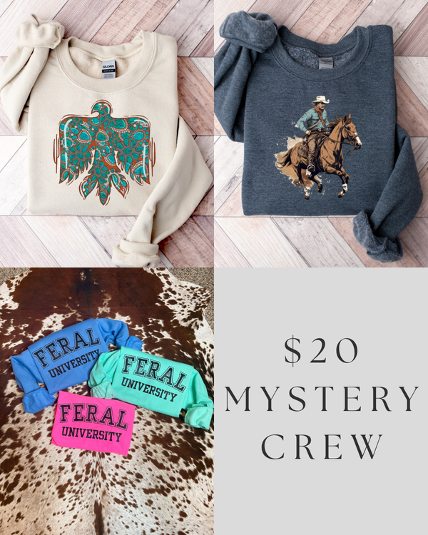 $20 Mystery Crewneck