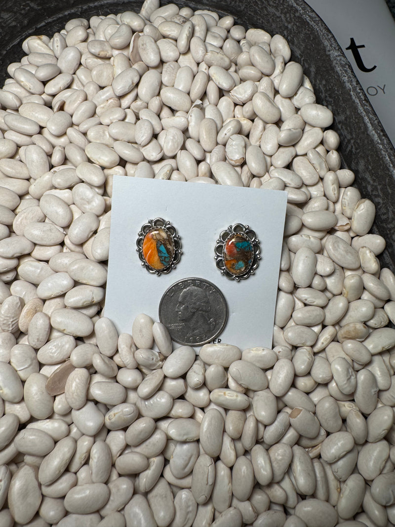 Spiny Oyster Studs