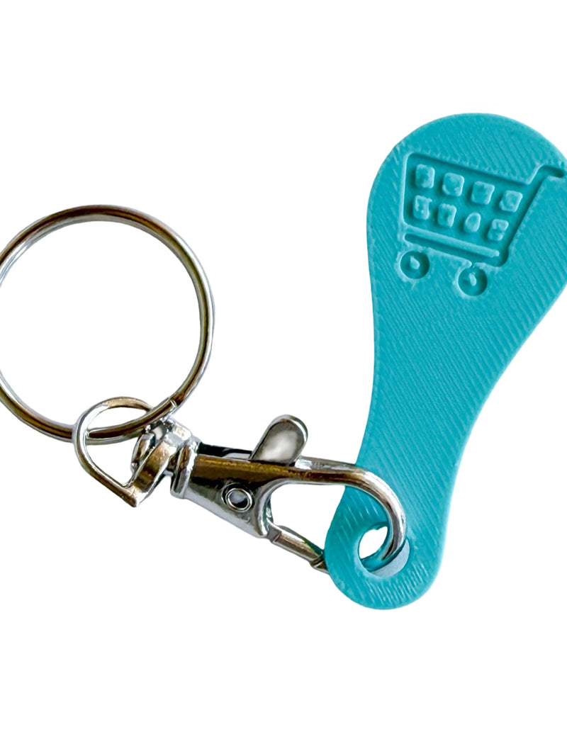 Quarter Saver Keychain-Turquoise