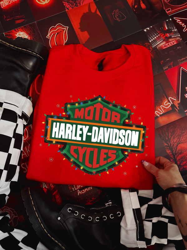 HD Christmas Lights crew