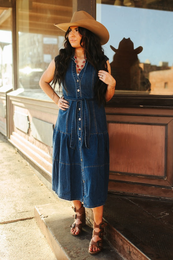 Dani Denim Dress