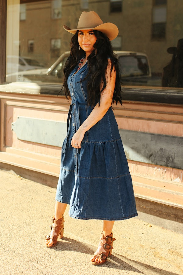 Dani Denim Dress