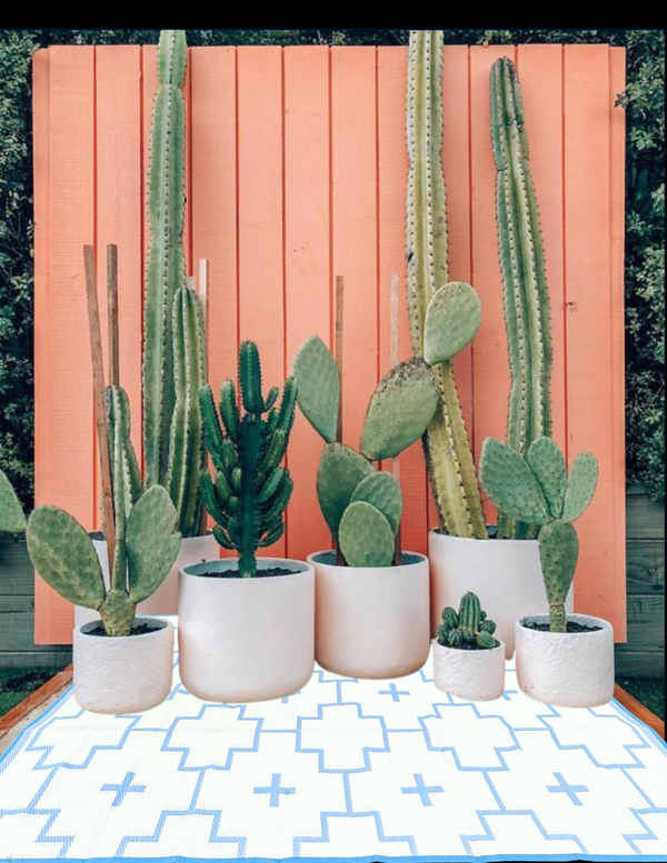 BLUE + IVORY - 6ft x 9ft - RANCH RUGS  -LAJITAS DESIGN-